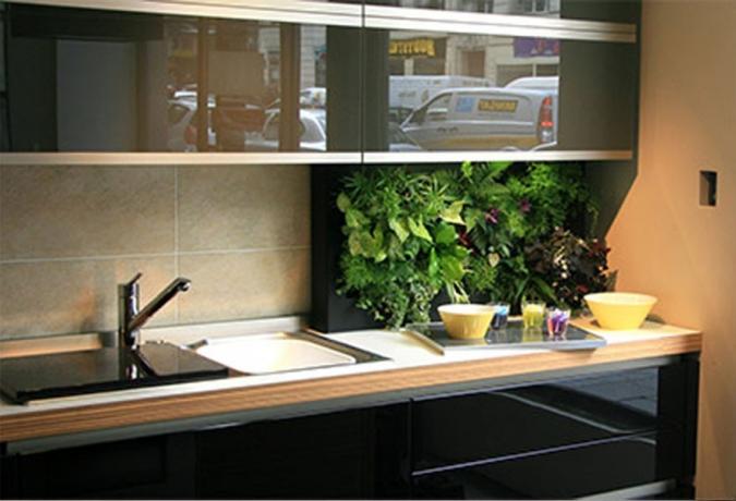 Zeleni v kuhinji - sveže ideje za uporabo domačih rastlin