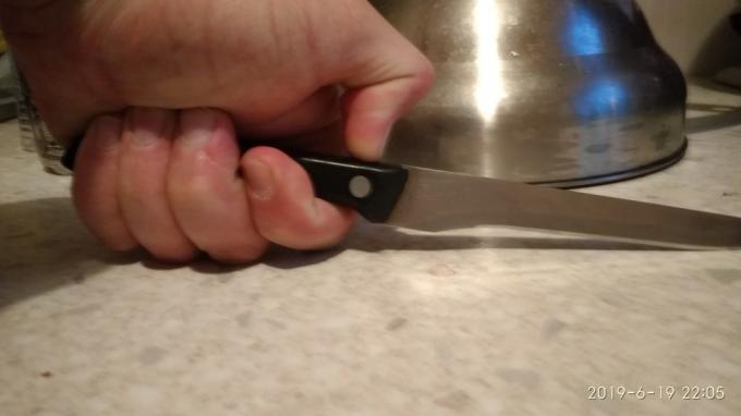 Kako izbrati kuhinjski nož?