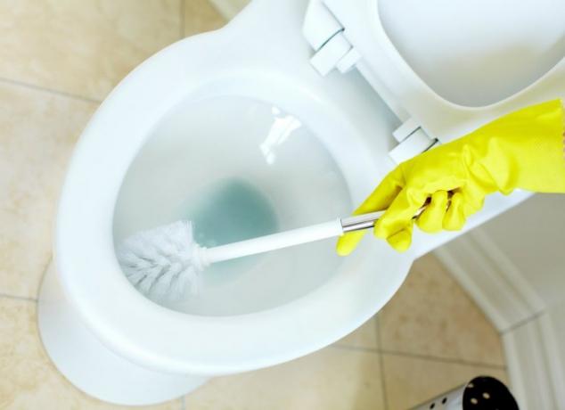 Kako očistiti stranišče z izvijačem?