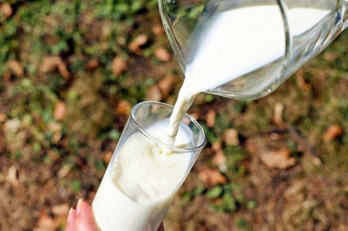Prednosti Garden mleko. Ilustracija za članek uporablja odprto kodo