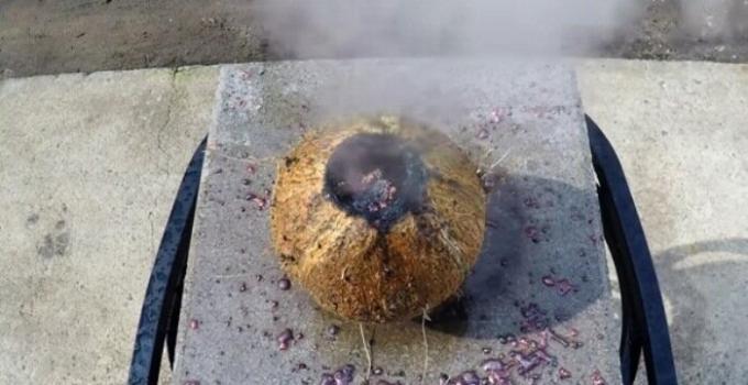 Staljeno baker notri kokosovo.