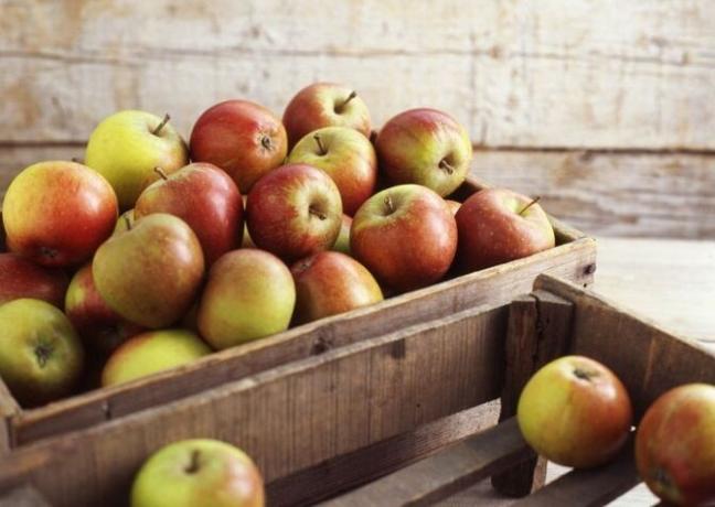 Moja "skrivnosti" za dolgoročno skladiščenje jabolk. 3 učinkovita metoda