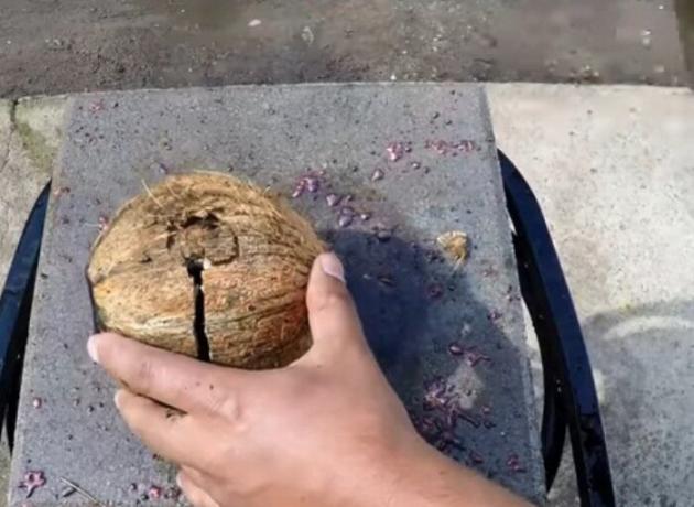 Kokosovo razbiti s kladivom, da bi dobili od njega kovinsko žogo.