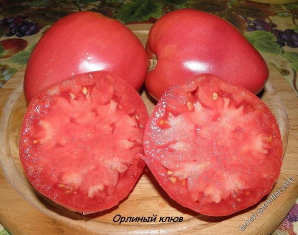 Fotografija iz paradižnika Tomato