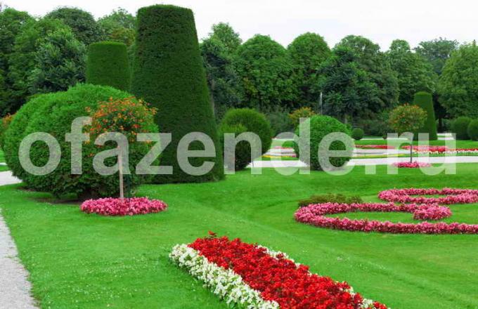 Vrt s ponavljajočimi se elementi. Ilustracija za članek se uporablja za standardno dovoljenje © ofazende.ru