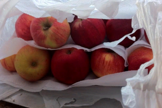 Kako ohraniti jabolka sveža za zimo doma