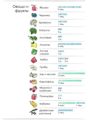 Tabela roka uporabnosti za zelenjavo in sadje
