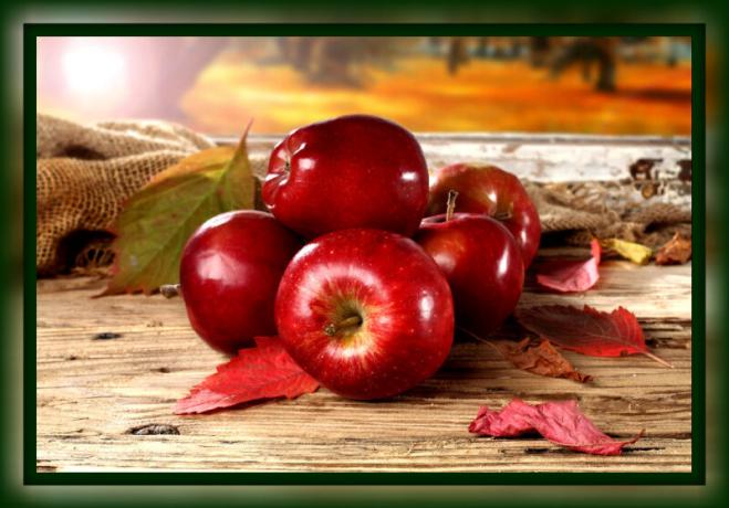 Kako ohraniti jabolka sveža za zimo doma