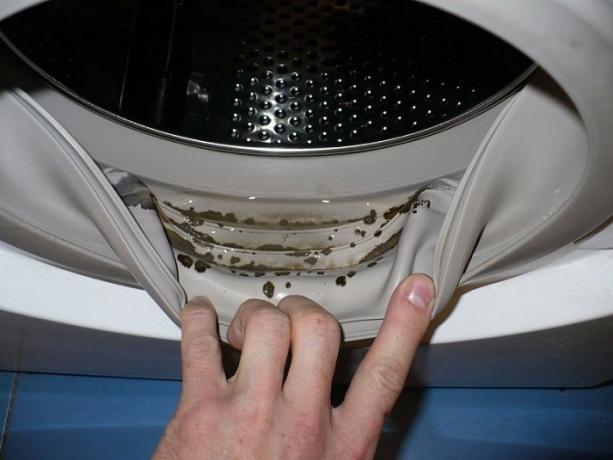 Kako se znebiti plesni in zatohel vonj v pralnem stroju