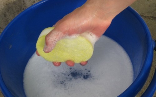 Mehka goba in običajni detergent sta kot nalašč za vzdrževanje napetega stropa