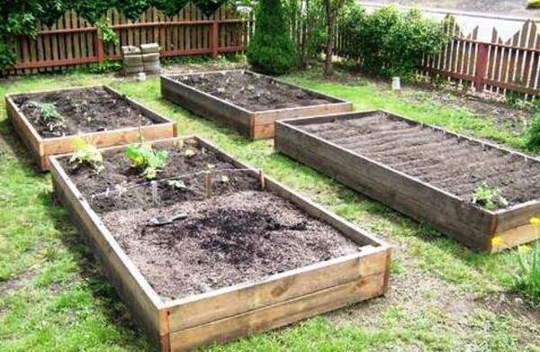 Kako izboljšati tal gline na vrtu brez velikih finančnih naložb. moja izkušnja