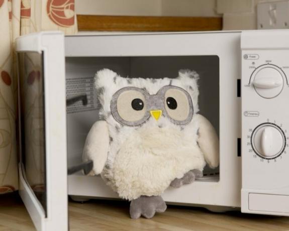 Da bo toplo v hladnem obdobju ali urah samote, morate samo, da se ogreje igračo v mikrovalovni pečici. / Foto: cdn11.bigcommerce.com